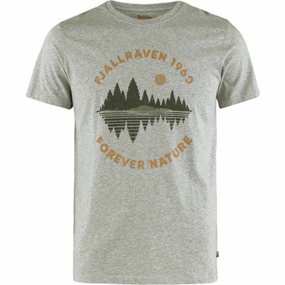 Fjällräven Forest Mirror T-shirt Herr Grå | 87542-ZWGC