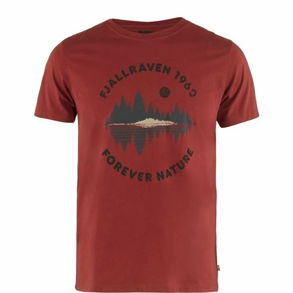 Fjällräven Forest Mirror T-shirt Herr Röda | 10592-MADV